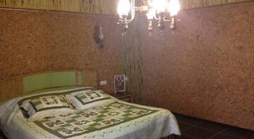 Фото номера Двухместный номер с 1 кроватью Гостиница Guest House Moskva г. Симеиз 2